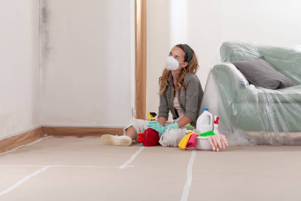 Reliable Mold Remediation contractor in New Hyde Park, NY by WQB Mold Removal